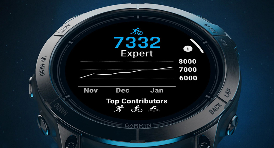 Умные часы Garmin Epix Pro (Gen2) Standart Edition 51mm Slate Gray with Black Band (010-02804-21)