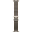 Apple Watch Ultra 2 (2024) 49mm Natural Titanium Case with Natural Titanium Milanese Loop M, MX5R3LW/A - фото 6