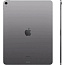 Apple iPad Air 13 (2025) M3 256Gb Wi-Fi + Cellular, серый космос - фото 5
