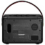Портативная акустика Marshall Kilburn II Black - фото 11