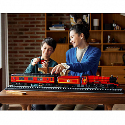 Конструктор LEGO Harry Potter 76405 Хогвартс Экспресс - фото 11