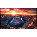 Фото - Профессиональный дисплей Samsung 55" QM55B, черный