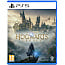 Игра Hogwarts Legacy Standard Edition для PlayStation 5 (Русские субтитры) - фото 12