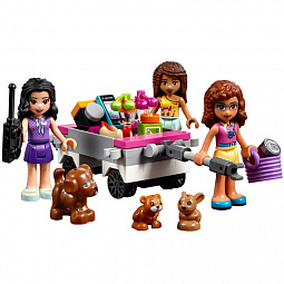 Конструктор LEGO Friends 41340 Дом Дружбы - фото 4