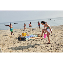 Портативная акустика JBL PartyBox On-The-Go с микрофоном - фото 15