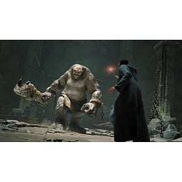 Игра Hogwarts Legacy Standard Edition для PlayStation 5 (Русские субтитры) - фото 3