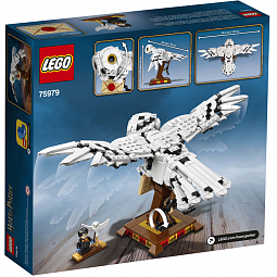 Конструктор LEGO Harry Potter 75979 Букля - фото 7