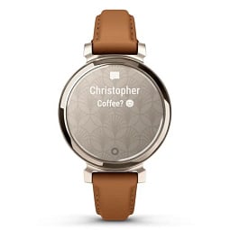 Умные часы Garmin Lily 2 Classic Cream Gold Brown (010-02839-02) - фото 3