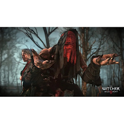 Игра The Witcher 3 Wild Hunt Complete Edition для PlayStation 5 - фото 8