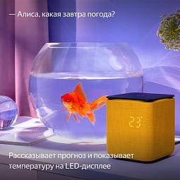 Умная колонка Яндекс Станция Миди, Оранжевый - фото 9