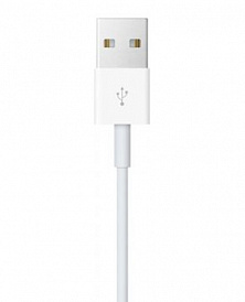 Кабель для зарядки Apple Whatch Magnetic Charging Cable (1m) - фото 2