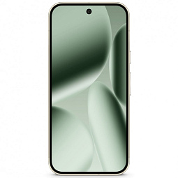 Google Pixel 10 Pro 16/256Gb Jade (HN/US) - фото 2