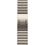 Apple Watch Series 10 42mm Titanium Case with Link Bracelet, Natural (MX0J3) - фото 6