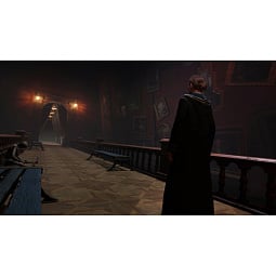 Игра Hogwarts Legacy Nintendo Switch 2 (Русские субтитры) - фото 12