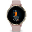 Умные часы Garmin VENU 3S, розовый с золотистым безелем (010-02785-03) - фото 14