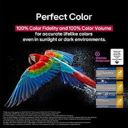 Телевизор LG OLED65G5LA - фото 11