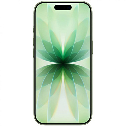Apple iPhone 17 256GB, Sage (eSIM) - фото 2