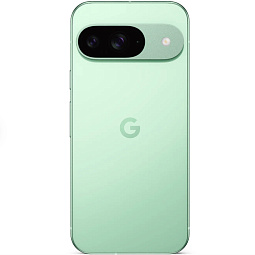 Google Pixel 9 12/256Gb Wintergreen (US/TW/CA) - фото 2