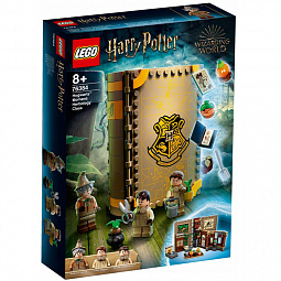 Конструктор LEGO Harry Potter 76384 Учёба в Хогвартсе: Урок травологии - фото 10