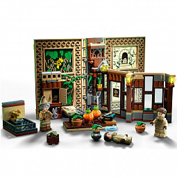 Конструктор LEGO Harry Potter 76384 Учёба в Хогвартсе: Урок травологии - фото 3