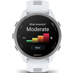 Умные часы Garmin Forerunner 170 Whitestone (010-03920-01) - фото 2