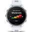 Умные часы Garmin Forerunner 170 Whitestone (010-03920-01) - фото 9