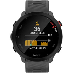 Умные часы Garmin FORERUNNER 55, серый (010-02562-13) - фото 2