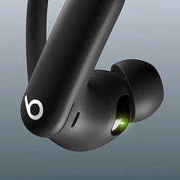 Беспроводные наушники Beats Powerbeats Pro 2, Jet Black (MX723) - фото 11
