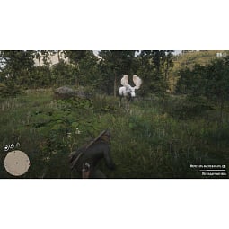 Игра Red Dead Redemption 2 для PlayStation 4, PlayStation 5 (Русские субтитры) - фото 11