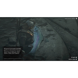 Игра Red Dead Redemption 2 для PlayStation 4, PlayStation 5 (Русские субтитры) - фото 10