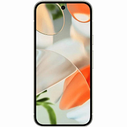 Google Pixel 9 12/256Gb Porcelain (US/TW) - фото 2