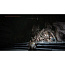 Игра Elden Ring  Shadow of the Erdtree Edition для PlayStation 5, (Русские субтитры) - фото 23