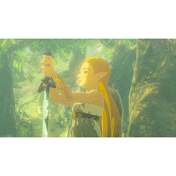 Игра The Legend of Zelda: Breath of the Wild для Nintendo Switch 2 (Русская версия) - фото 4