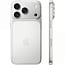Apple iPhone 17 Pro 256GB, Silver (eSIM) - фото 5