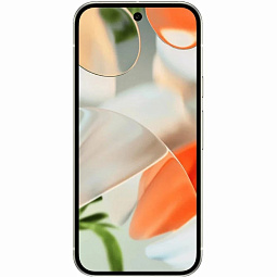 Google Pixel 9 12/256Gb Porcelain (JA) - фото 2