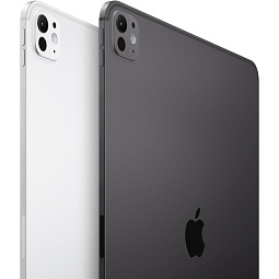 Apple iPad Pro 11 M4 (2024) 2Tb Wi‑Fi + Cellular, серебристый - фото 5