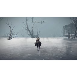 Игра Elden Ring  Shadow of the Erdtree Edition для PlayStation 5, (Русские субтитры) - фото 7