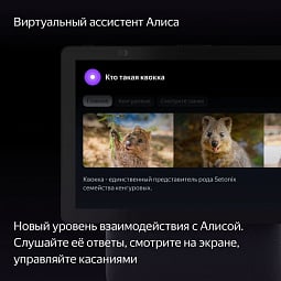 Яндекс Станция Дуо Макс с Алисой, черный, с Zigbee, 60 Вт - фото 6