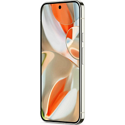 Google Pixel 9 Pro XL 16/256Gb Porcelain (JA) - фото 4