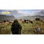 Игра Tom Clancy's Ghost Recon Wildlands для PlayStation 4, PlayStation 5 (Русская версия) - фото 16