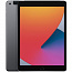 Apple iPad (2020) 128Gb Wi-Fi + Cellular Space gray - фото 2