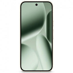Google Pixel 10 Pro 16/256Gb Jade (HN) - фото 2