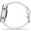 Умные часы Garmin Forerunner 170 Music, Whitestone (010-03920-11) - фото 13