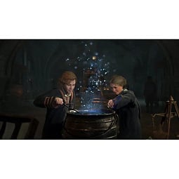 Игра Hogwarts Legacy Standard Edition для PlayStation 5 (Русские субтитры) - фото 5