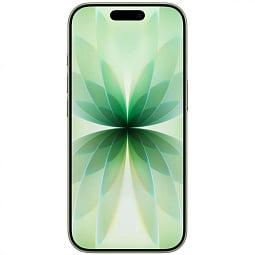 Apple iPhone 17 512GB, Sage (SIM+eSIM) (Активирован Apple) - фото 2
