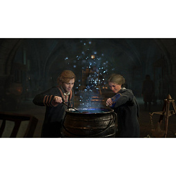 Игра Hogwarts Legacy Nintendo Switch 2 (Русские субтитры) - фото 13